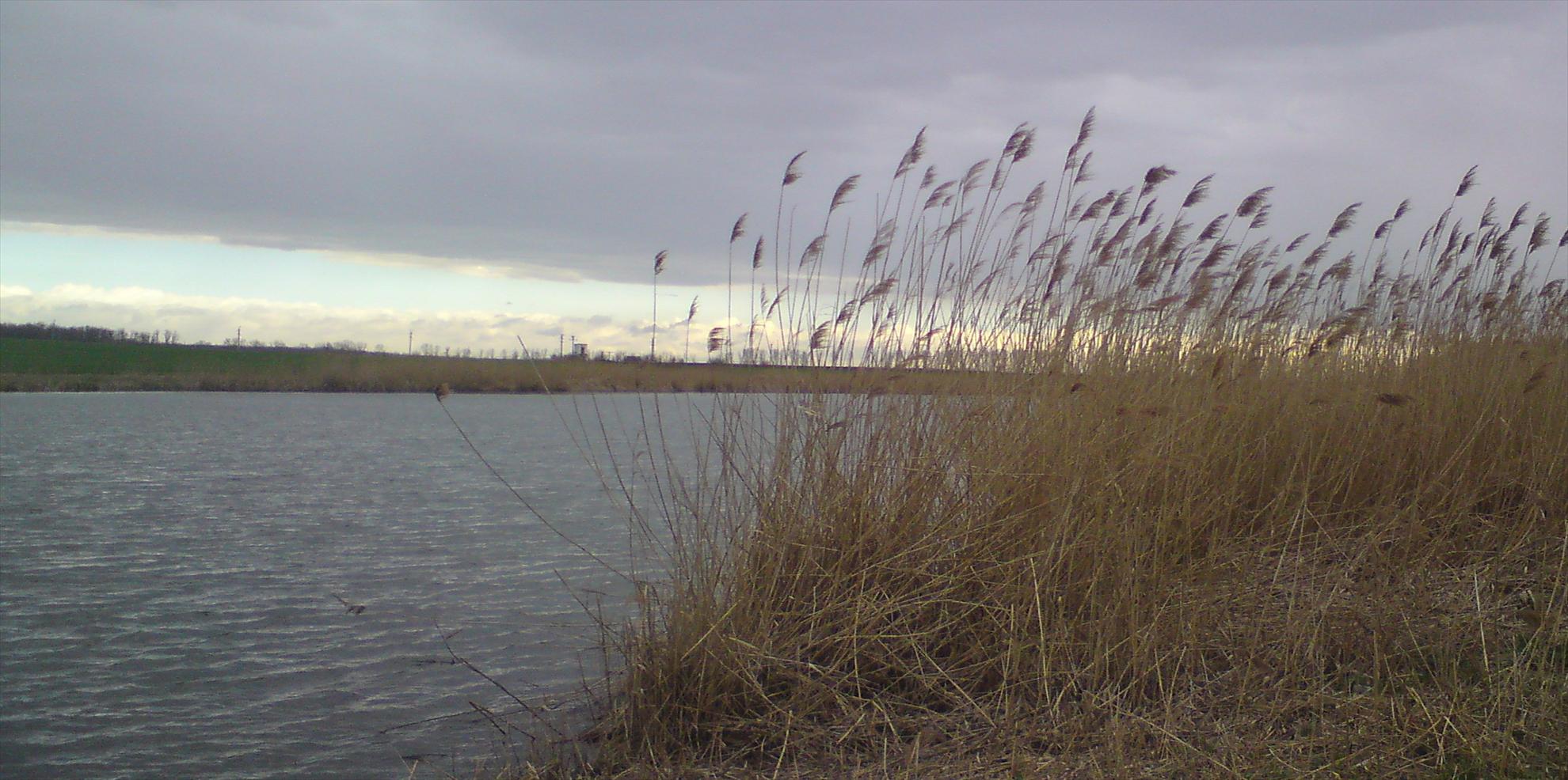 Movilita-Inceputuri..... - dsc00029.JPG